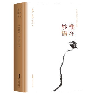 惟在妙悟 朱良志艺术哲学文存 观画看气象 16开硬精装 艺术的高妙在形式之外 妙悟既非先天赋予亦非神秘体验 中国美学入门