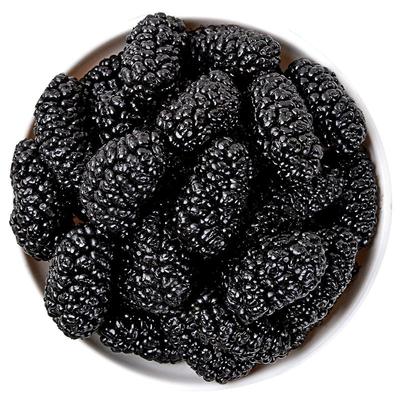新疆黑桑葚干个大饱满