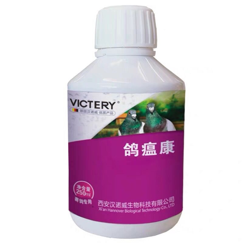 赛鸽拉稀绿便呕吐鸽子VICTERY