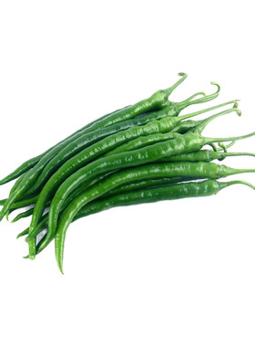 线椒种籽二荆条特香微辣蔬菜秧苗