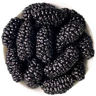 新疆桑葚干官方旗舰店黑桑椹特产级泡茶水新鲜大颗粒干果新货特产