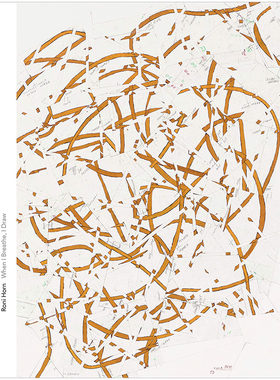【现货】Roni Horn When I Breathe, I Draw 罗尼·霍恩 英文艺术