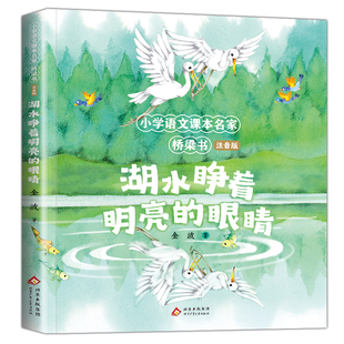 湖水睁着明亮的眼睛 金波童话散文精选集小学语文课本名家桥梁书注音版一二年级课外书春风带我去散步树和喜鹊 北京少年儿童出版社