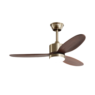 小尺寸新中式风扇灯吊扇灯古铜色客厅复古大气实木卧室餐厅变频灯