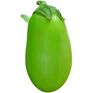 绿罐茄子种子绿茄种籽绿皮绿肉灯泡牛心茄嫁接茄子苗早熟高产包邮