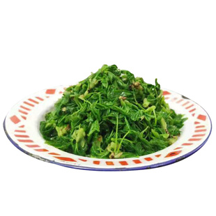 甘肃特产农村深山野菜新鲜五月菜五撮菜五叶菜刺五加五爪子野菜