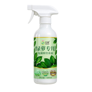 绿萝营养液免稀释绿箩专用肥室内叶子发黄绿萝专用营养液直喷式
