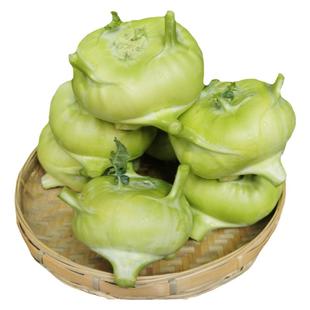 云南省新鲜蔬菜苤蓝水果大头菜疙瘩菜芥菜头泡菜撇了现摘现发包邮