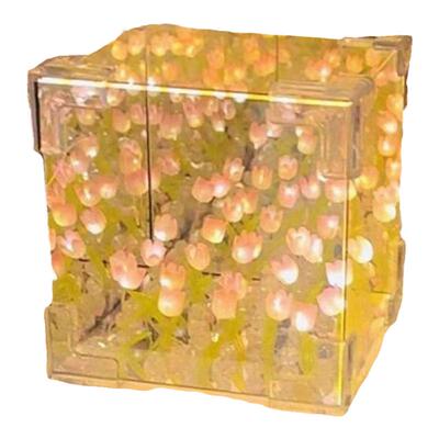 郁金香小夜灯女生生日礼物送闺蜜