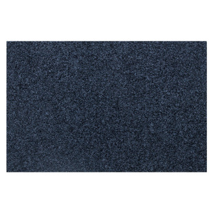 入户门地垫脚踏垫进门门口免洗可擦地毯家用门前蹭脚垫子防滑北欧