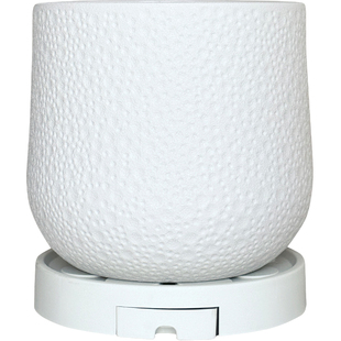 塑料花盆家用大号创意蝴蝶兰绿萝龟背竹发财树专用树脂轻奢高级感