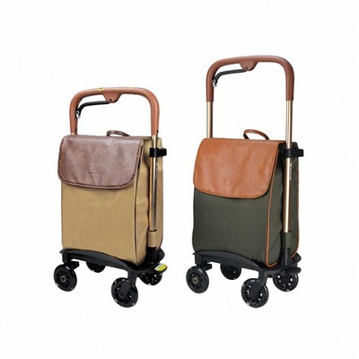 步丁中年老人手推轻便携购物车