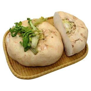 温州盘菜种子种籽菜种盘菜头籽种秋冬季菜籽蔬菜孑大头菜芥菜疙瘩