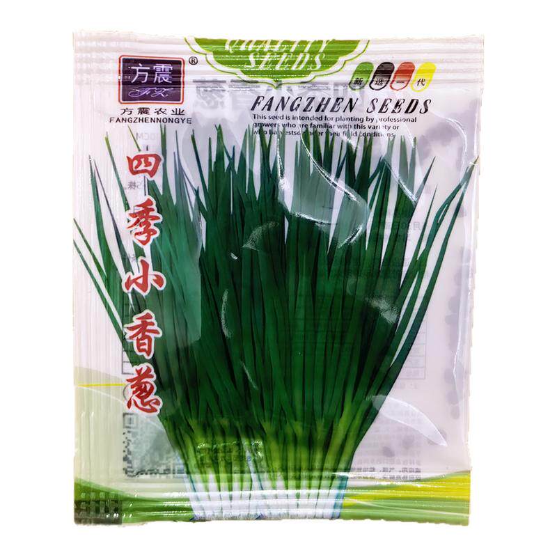 方震四季葱种子新手易种阳台盆栽