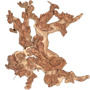 金丝红木天然树根根雕根艺摆件毛料禅意羊蹄甲自然原木木雕热卖