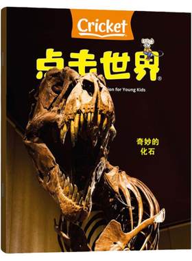 蟋蟀童书24全新过刊处理