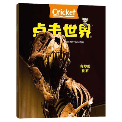 蟋蟀童书24全新过刊处理