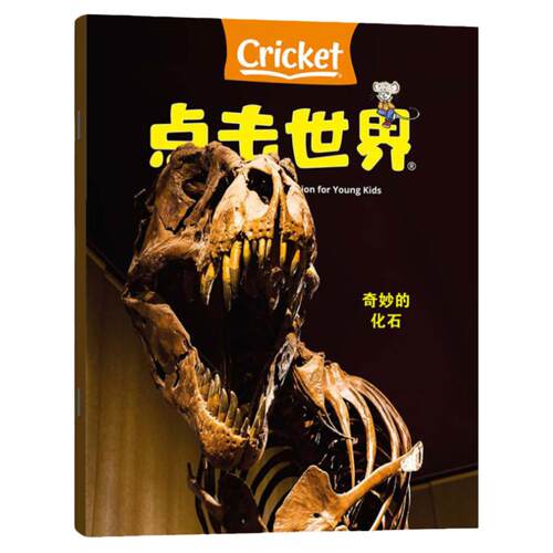 【全新过刊处理】cricket蟋蟀王国杂志24年1月  9-14岁科普非2023过刊