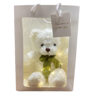 正版礼盒泰迪小熊公仔定制玩偶娃娃毛绒玩具七夕情人节女生日礼物