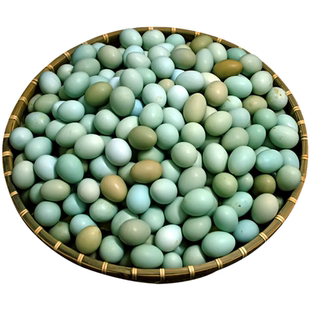 绿壳山鸡蛋60枚整箱生鸡蛋新鲜正宗农家散养土鸡蛋40枚初生乌鸡蛋