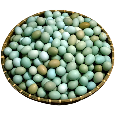 顺丰包邮丨绿壳山鸡蛋40枚