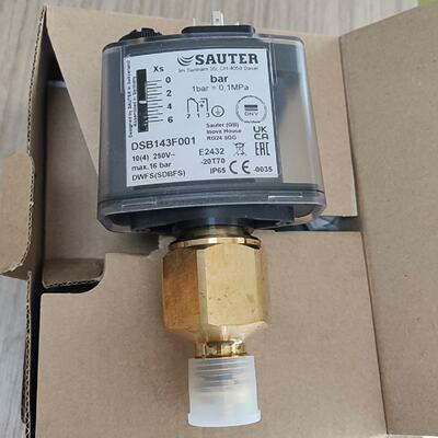 议价压力开关DSB143F001适用