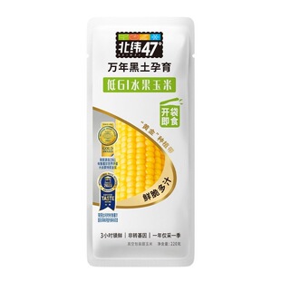 北纬47度黄糯玉米240g袋装东北甜黏玉米棒真空包装杂粮粗粮早餐