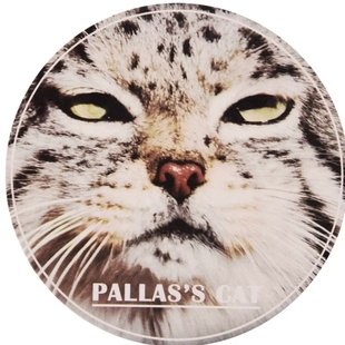 兔狲雪豹硅藻土软木防烫茶具杯垫礼品天音文创馆