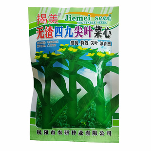 广东四九甜菜心种子白菜红菜苔四季蔬菜种籽孑连州增城迟青菜秋冬
