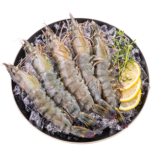 黑虎虾鲜活超大老虎虾速冻特大对虾基围虾鲜虾海虾无冰竹斑九节虾