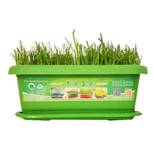 阳台庭院室内楼顶客厅种植花盆树脂塑料植物箱菜箱子家庭园艺花卉