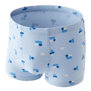 3件|蕉内小特护301Color儿童内裤男童平角纯棉卡通裆透气四角短裤