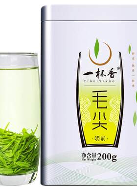 2026新茶一杯香毛尖信阳绿茶200g