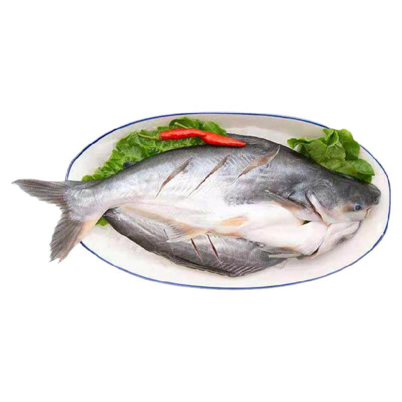 大满通冷冻开背腌制湄公鱼