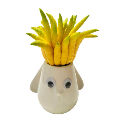 云南高山佛手柑基地直发室内摆件