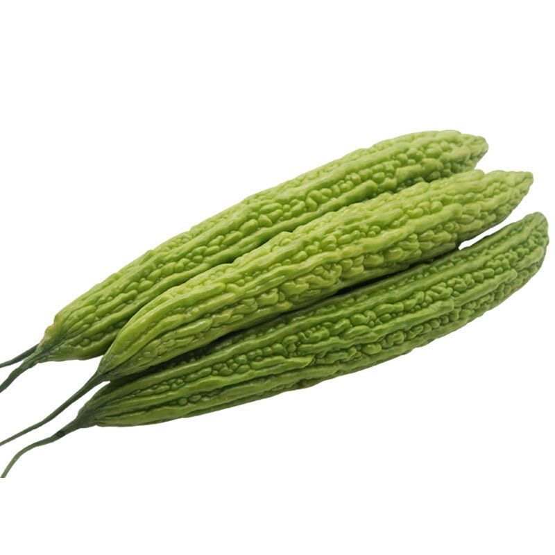 苦瓜苗子苦瓜秧苗四季蔬菜苗