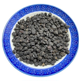 东北刺五加籽长白山五加皮刺五加子刺五加果颗粒新货泡水煮水