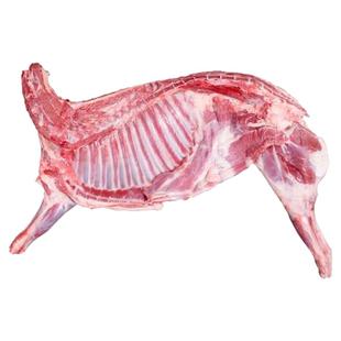 甘肃祁连山清泉滩羊玉门羊羔肉半只航空邮寄礼盒装现杀现发新鲜发