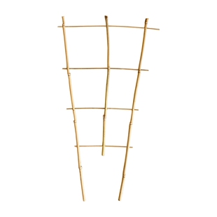 掬涵爬藤花架园艺支柱架阳台绿萝月季铁线莲植物攀爬防倒架支撑杆