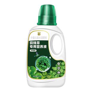 铜钱草专用营养液水培植物天胡荽专用肥料氮磷钾水溶液体肥盆栽