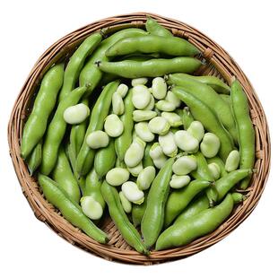 云南胡豆新鲜现摘带壳蚕豆当季农家蔬菜毛豆青罗汉豆兰花佛南豆9