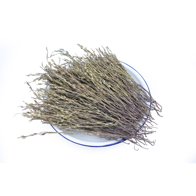 深山疳积草独脚金独角金煲汤材料
