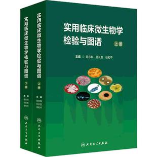 实用临床微生物学检验与图谱陈东科上下册病原微生物技术方法病原体流行病学分析病毒细菌真菌寄生虫鉴定药敏试验医院感染监测百科