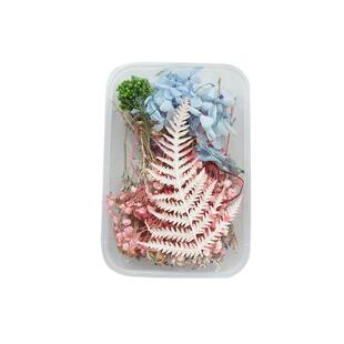 干花diy材料包永生花材手工团扇相框帽子蜡烛真花风干花束ins装饰
