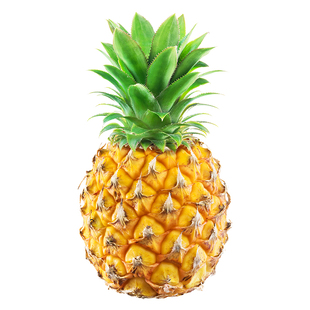 正宗云南香水菠萝新鲜水果10斤应当季手撕凤梨金钻波罗整箱包邮