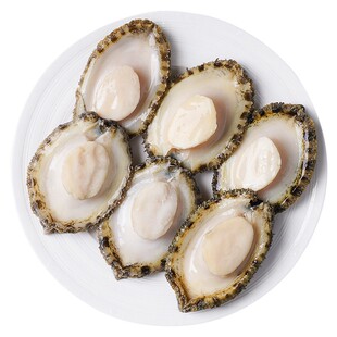 鲍鱼肉鲜活冷冻去牙去壳新鲜活鲍现剥去内脏火锅食材500g海鲜水产