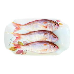 北海红杉鱼新鲜冷冻深海鱼去鳞鳃去内脏红衫鱼冰鲜大号红三鱼海鲜