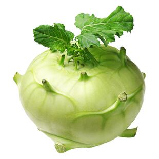 青苤兰种子紫苤蓝种籽高产菜籽孑籽种芥兰头芥蓝球茎水果甘蓝