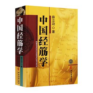 正版 中国经筋学 薛立功著 经筋疗法 手疗法图解经典古中医经筋学 中医古籍出版社9787515209203古籍研究