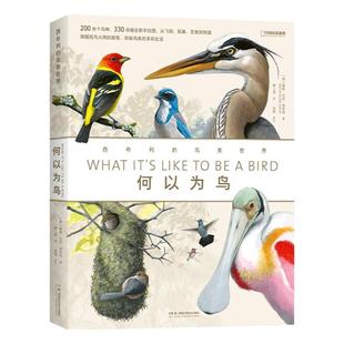 何以为鸟：西布利的鸟类世界 中国国家地理图书